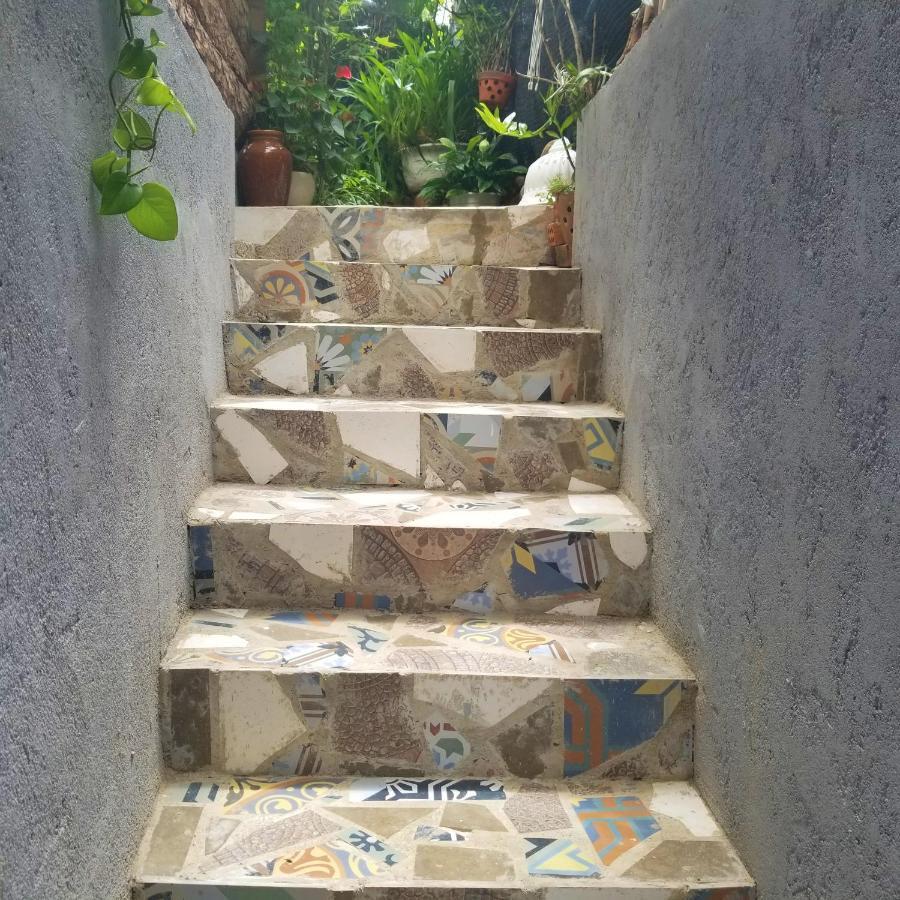 דירות דה לאט Ribe'S House מראה חיצוני תמונה